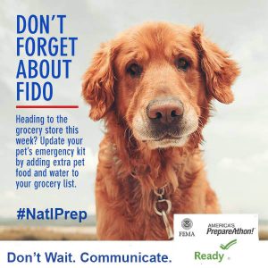 Don't Wait. Communicate. Make a family emergency plan today. September is National Preparedness Month. Learn more at www.ready.gov/September.    