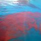 photo of red algae floating on the ocean's surface