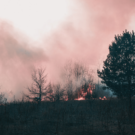 wildfire smoke