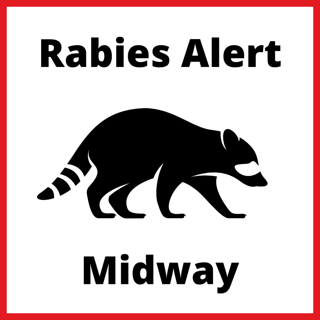 Liberty County Health Department Issues Rabies Alert - Georgia Coastal Health District Liberty County Health Department Issues Rabies Alert - Georgia Coastal Health District